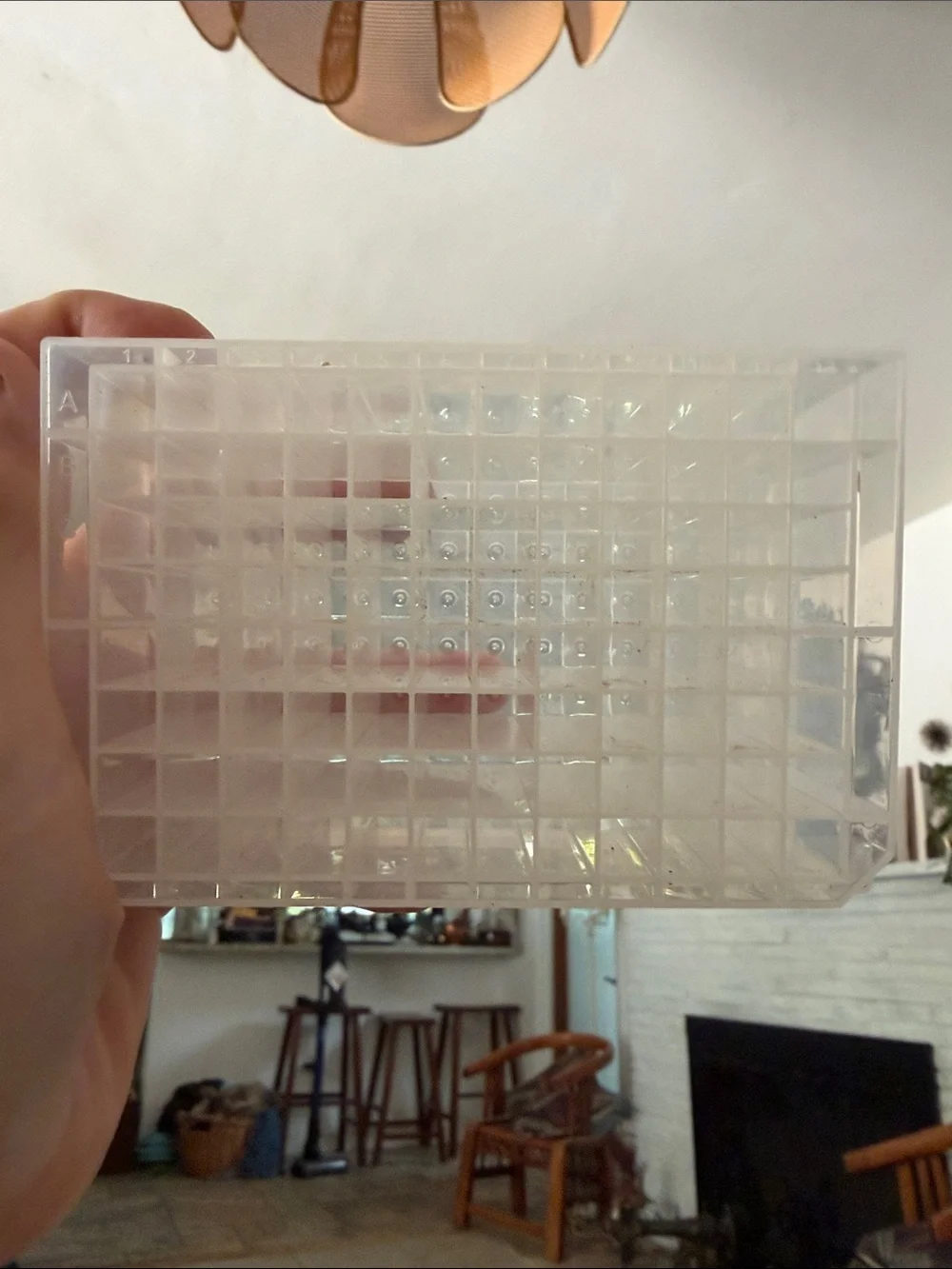 Clear Plastic Grid Organizer Case - Transparent